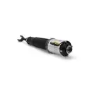 ArnottEurope AS-2776 Air Spring Strut