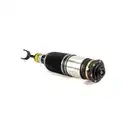 ArnottEurope AS-3230 Air Spring Strut
