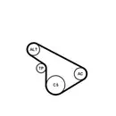 CONTINENTAL CTAM 5PK1212K1 Keilrippenriemen Kit