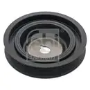 FEBI BILSTEIN 100981 Riemenscheibe (entkoppelt) für RENAULT