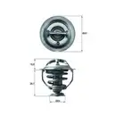 MAHLE TX 117 95D Thermostateinsatz mit Dichtung
