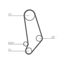 CONTINENTAL CTAM CT539WP1 Zahnriemen Kit + Wasserpumpe