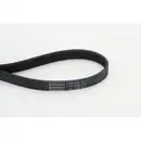 CONTINENTAL CTAM 7PK1705 Keilrippenriemen