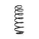 2x Spidan Fahrwerksfeder 85755 Hinterachse Ford Fiesta VI
