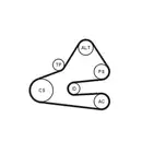 CONTINENTAL CTAM 6PK1613K1 Keilrippenriemen Kit