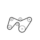 CONTINENTAL CTAM 6PK1642K2 Keilrippenriemen Kit