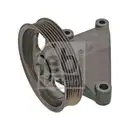 FEBI BILSTEIN 100173 Umlenkrolle für CITROËN, PEUGEOT, FIAT