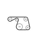 CONTINENTAL CTAM 6PK1310K1 Keilrippenriemen Kit