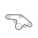 CONTINENTAL CTAM 6PK1370K1 Keilrippenriemen Kit