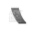 Keilrippenriemen Febi Bilstein 39793 für Citroën für Ford für Jaguar für Peugeot
