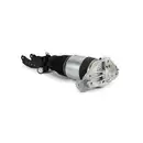 ArnottEurope Air Spring Strut AS-3165