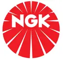 NGK 92579 Zündkerze CR9EIB-9