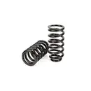 ArnottEurope C-3080 Suspension Kit, coil springs