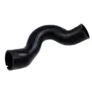 BUGIAD 81688 Ladeluftschlauch für FIAT