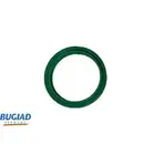 Ladeluftschlauch Bugiad 82568 für Nissan für Renault