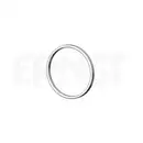 ERNST 499279 Dichtring