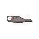 VAN WEZEL Lüftungsgitter vo. re. 0670594