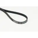 Keilrippenriemen Continental Ctam 4PK1418 ELAST für Man