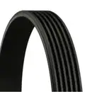 CONTINENTAL CTAM 6PK970 Keilrippenriemen