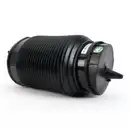 ArnottEurope A-3315 Air Spring