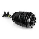 ArnottEurope Air Spring Strut AS-3896