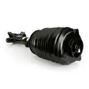 ArnottEurope Air Spring Strut AS-3897
