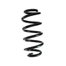 SPIDAN GKNW10101 Fahrwerksfeder