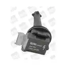 Zündspule Borgwarner (beru) ZSE055 für Ford für Volvo