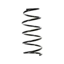 2x Spidan Fahrwerksfeder 48529 Vorderachse Renault Clio II