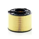 MANN-FILTER C 17 012/1 Luftfilter