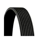CONTINENTAL CTAM 8PK1275 Keilrippenriemen