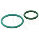 Dichtungssatz Einspritzpumpe Elring 455.290 für Citroën für Fiat für Peugeot
