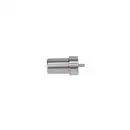 Einspritzdüse Bosch 0 434 250 072 für Kässbohrer für Mercedes Benz