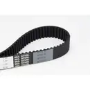 CONTINENTAL CTAM CT884 Zahnriemen