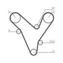 CONTINENTAL CTAM CT829 Zahnriemen