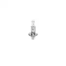 BOSCH 1 987 302 411 Glühlampe H1 70W 24V
