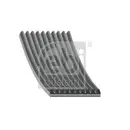 FEBI BILSTEIN 34339 Keilrippenriemen für MERCEDES-BENZ