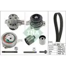 INA 530 0650 31 Wapu + ST Kit