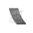 FEBI BILSTEIN 38433 Keilrippenriemen