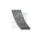 FEBI BILSTEIN 38423 Keilrippenriemen