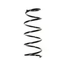 2x Spidan Fahrwerksfeder 56166 Vorderachse Nissan Kubistar Renault Kangoo