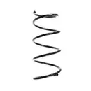 2x Spidan Fahrwerksfeder 56192 Vorderachse Renault Laguna I