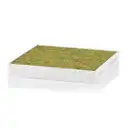 Filter Innenraumluft Mann-filter FP 23 024 Freciousplus für Hyundai für Kia