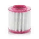 MANN-FILTER C 1343 Luftfilter