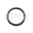 ERNST 490313 Dichtring