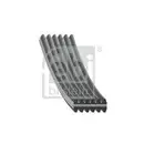 FEBI BILSTEIN 34461 Keilrippenriemen für SEAT, VW