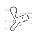 CONTINENTAL CTAM CT1152 Zahnriemen