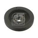 FEBI BILSTEIN 30138 Riemenscheibe (entkoppelt) für PEUGEOT
