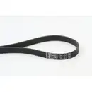 CONTINENTAL CTAM 6PK1217 Keilrippenriemen