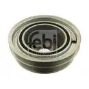 FEBI BILSTEIN 30176 Riemenscheibe für FIAT, IVECO